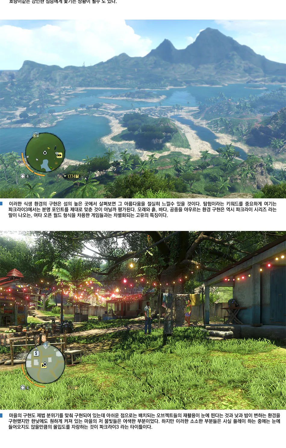 Far Cry 3 리뷰 이미지 6